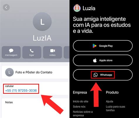 https//soyluiza.com/pt-pt/|Sou LuzIA no WhatsApp: como usar a inteligência artificial